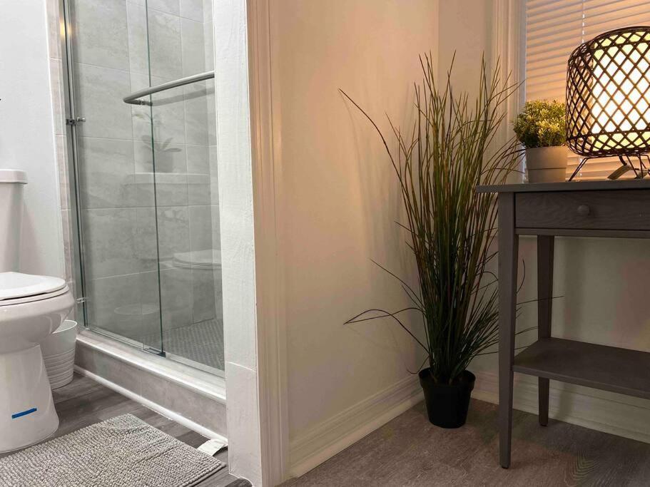 Chic Bungalow Apartment Steps From Armature Works & Downtown Riverwalk Tampa Exteriör bild